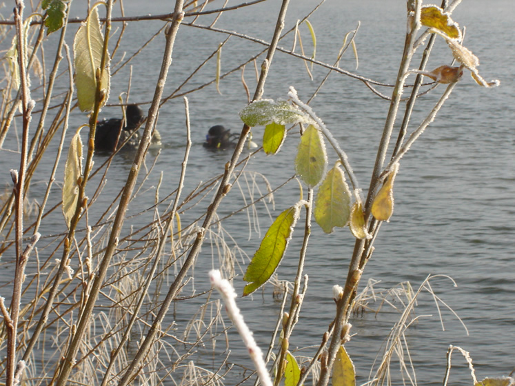 DSC07236