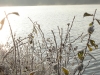 DSC07234 DSC07234