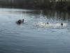 DSC06524 DSC06524