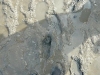 k-282824_395272170510032_772851769_n[1]