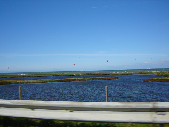 DSC03754
