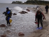 DSC03725 DSC03725