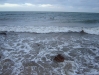 DSC03731 DSC03731