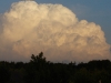 DSC04575 DSC04575