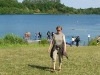 DSC04583 DSC04583