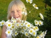 DSC03438 DSC03438