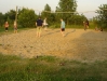 DSC03439 DSC03439