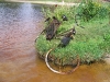 IMG_1651 IMG_1651
